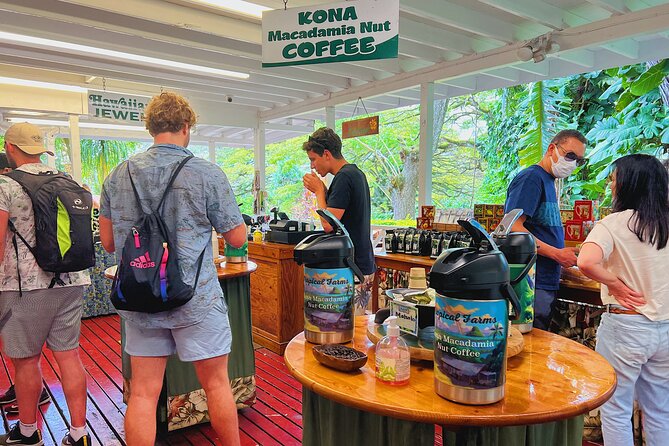 Oahu Island Experience feat the North Shore (Small Group Tour) - Sunset Beach and North Shore surf
