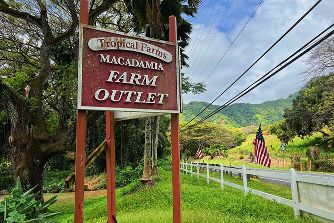 Oahu Island Experience feat the North Shore (Small Group Tour) - Dole Plantation and the final sweet stop