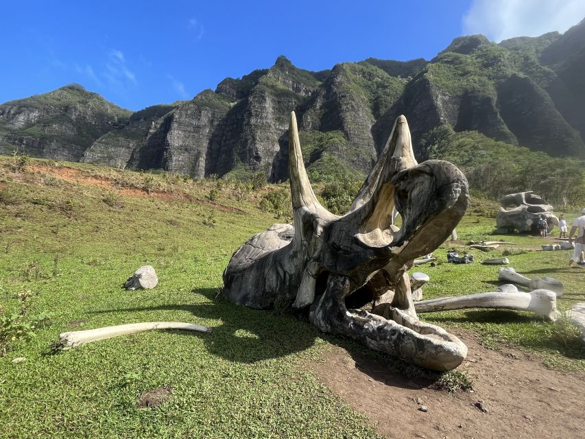 Oahu: Kualoa Movie Sites, Jungle, and Buffet Tour Package - Why this seven-hour Kualoa package works