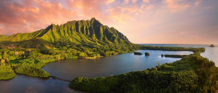 Oahu: Kualoa Movie Sites, Jungle, and Buffet Tour Package - The 90-minute Jungle Expedition into Hakipuʻu rainforest