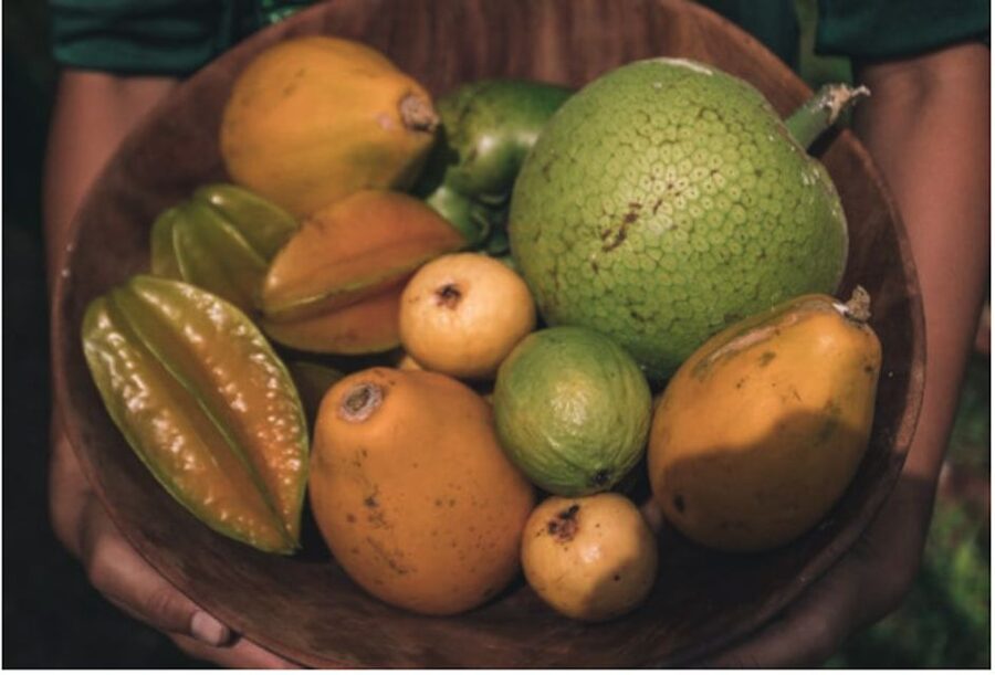 Oahu: Kualoa Movie Sites, Jungle, and Buffet Tour Package - Kualoa Grown, gardens, fruit, flowers, and fish farming