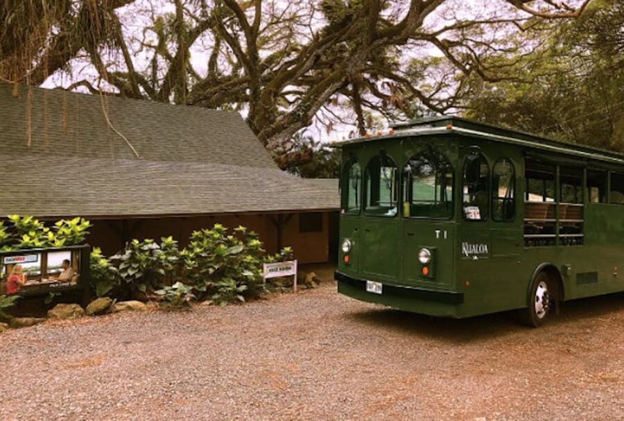 Oahu: Kualoa Movie Sites, Jungle, and Buffet Tour Package - Buffet lunch at the Kualoa Ranch House