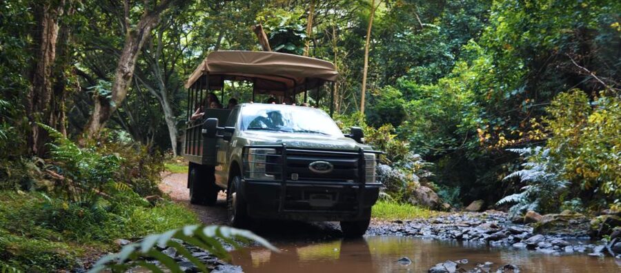 Oahu: Kualoa Open Air Jungle Expedition Tour - What the 90-minute Kualoa ride is really like