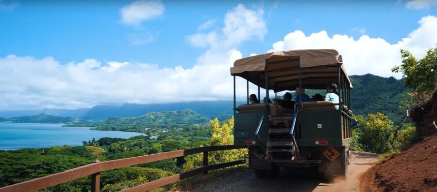 Oahu: Kualoa Open Air Jungle Expedition Tour - Who will enjoy this most?