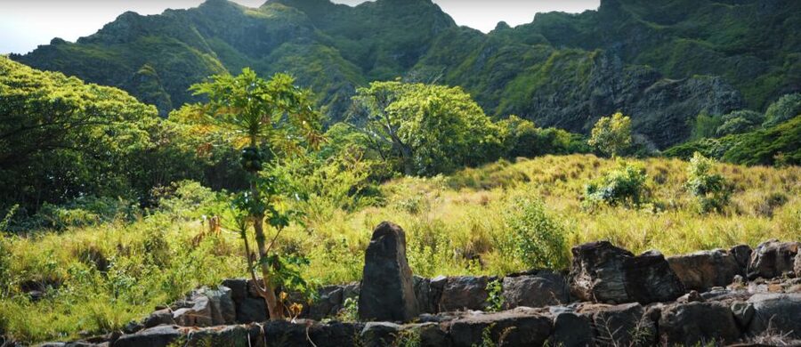 Oahu: Kualoa Open Air Jungle Expedition Tour - Practical timing and check-in advice