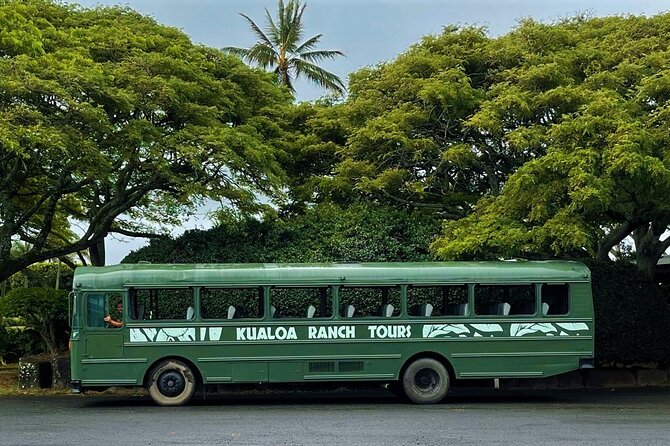 Oahu: Kualoa Ranch Movie Sites and Ranch Tour - A movie tour set inside a real working ranch