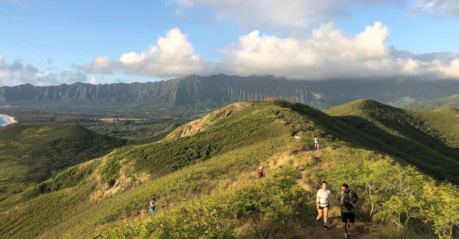 Oahu: Manoa Falls Hike and east side beach day - Key points to know before booking