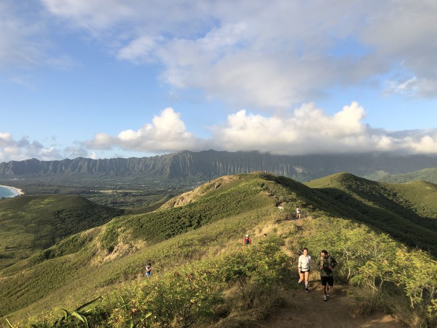 Oahu: Manoa Falls Hike and east side beach day - Manoa Falls brings the day to life