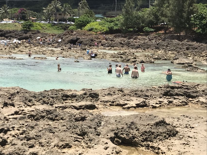 Oahu: Manoa Falls Hike and east side beach day - Rain, timing, and what to pack