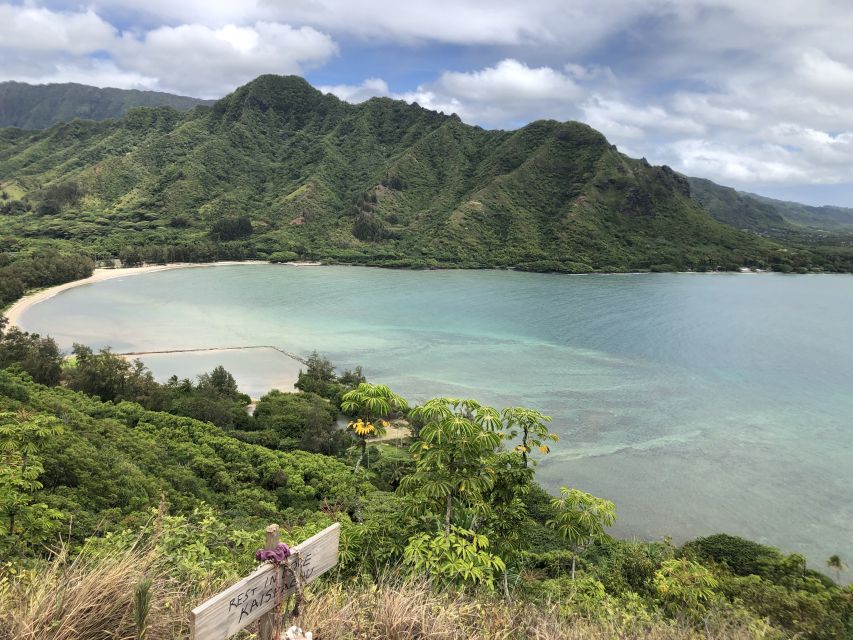 Oahu: Manoa Falls Hike and east side beach day - A small van makes the sightseeing more personal