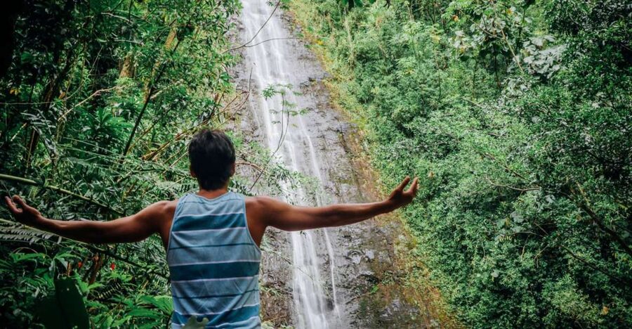 Oahu: Manoa Falls Waterfall Hike with Lunch and Transfers - Reaching the 150-foot Manoa Falls