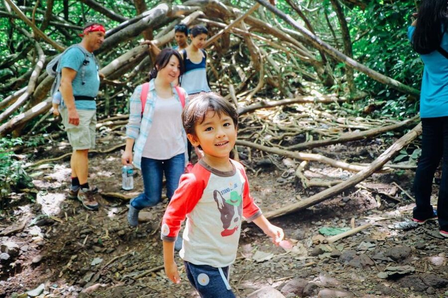 Oahu: Manoa Falls Waterfall Hike with Lunch and Transfers - Is $119 a fair price?