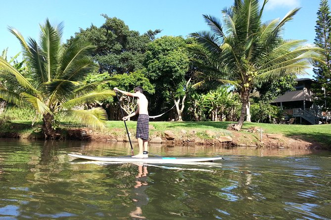 Oahu North Shore Experience: Activities, Waterfall & Free Time - A flexible North Shore day from Waikiki