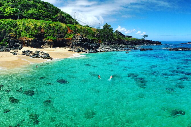 Oahu North Shore Experience: Activities, Waterfall & Free Time - What the guides add to the day