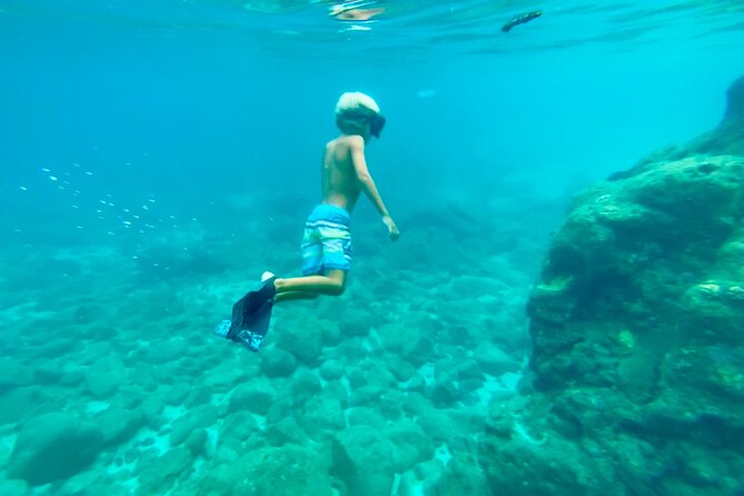 Oahu North Shore Experience: Activities, Waterfall & Free Time - Price, comfort, and practical value