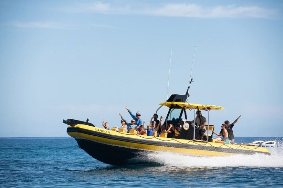 Oahu: North Shore Haleʻiwa: Private Boat Charter - The remote island and marine sanctuary stop
