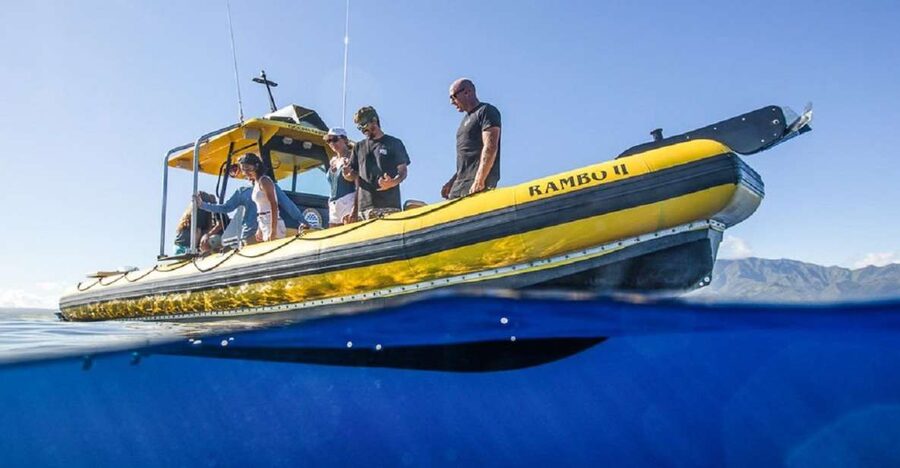 Oahu: North Shore Haleʻiwa: Private Boat Charter - How to plan your North Shore day