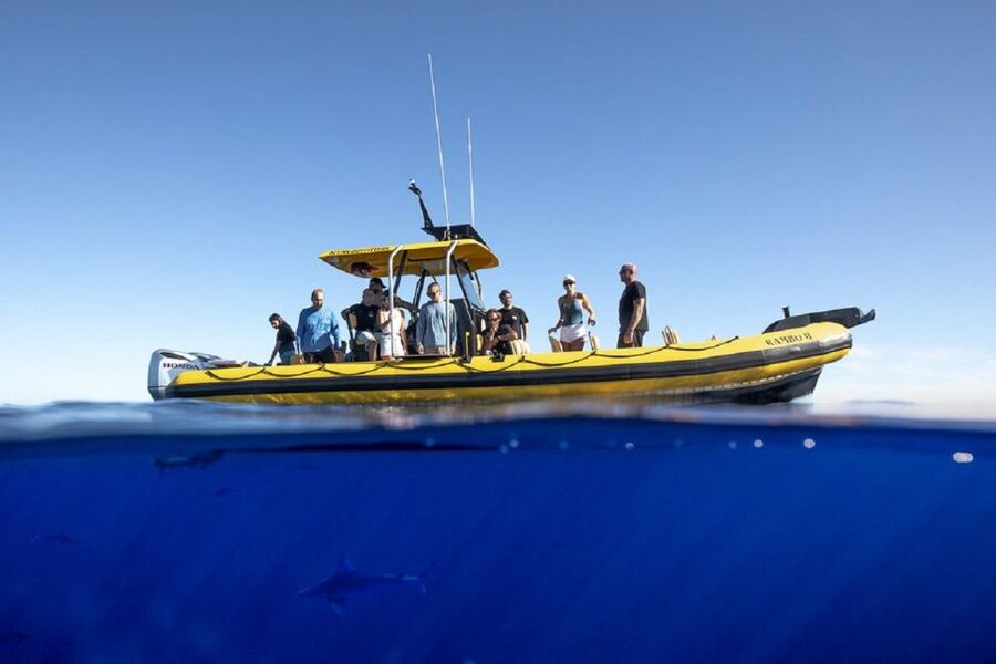 Oahu: North Shore Haleʻiwa: Private Boat Charter - Who gets the best value from this outing