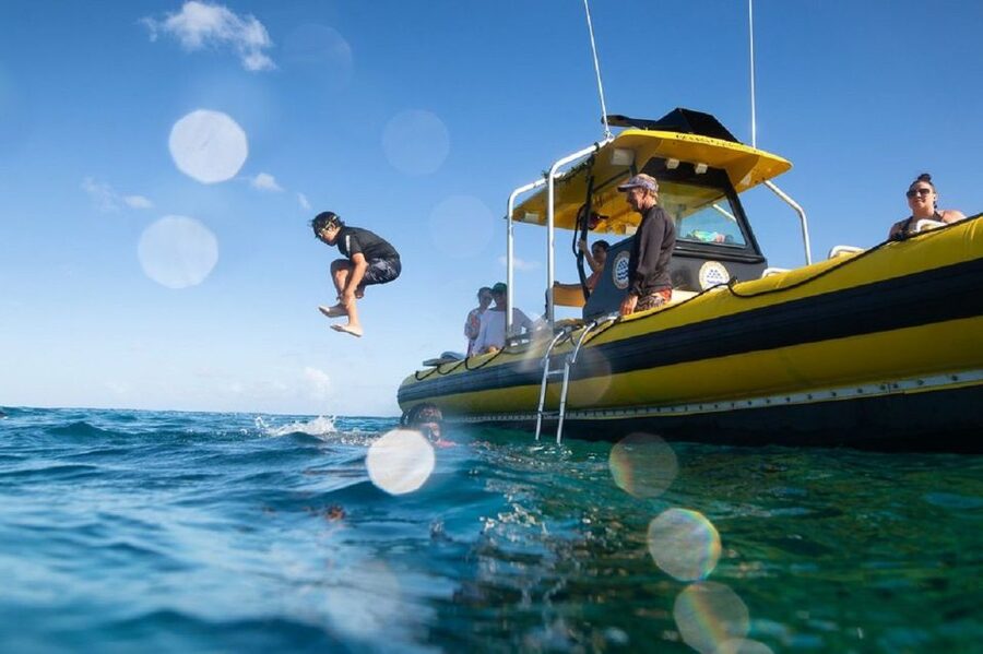 Oahu: North Shore Haleʻiwa: Private Boat Charter - Should you book the Haleʻiwa private boat charter?