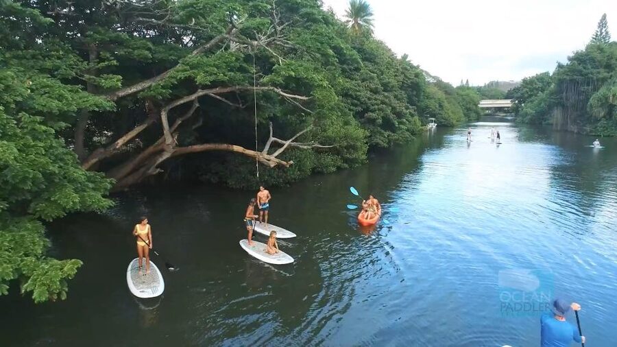 Oahu: North Shore Haleiwa Paddleboard River Adventure - Choosing Haleiwa Bay, and knowing when to stop