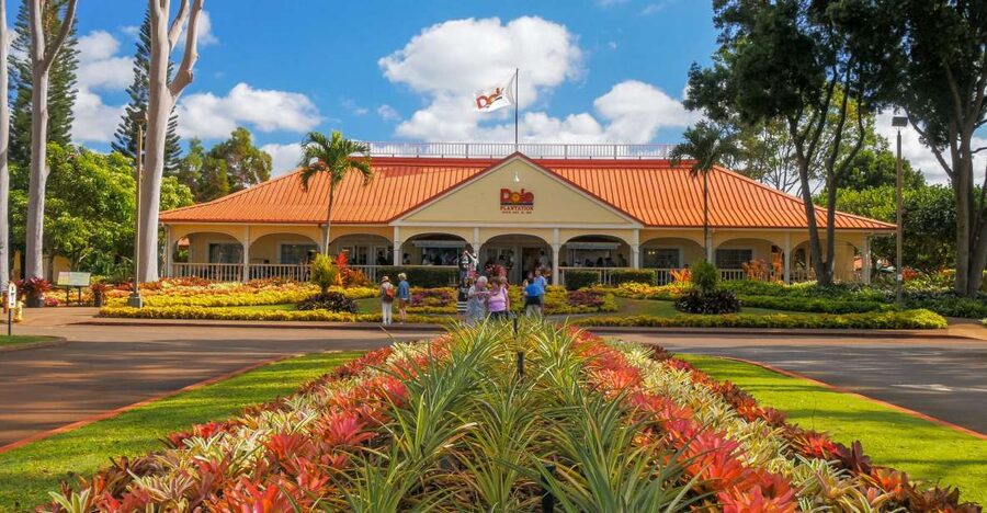 Oahu: Oahu Ultimate Grand Circle Island Tour - Key points to know before booking