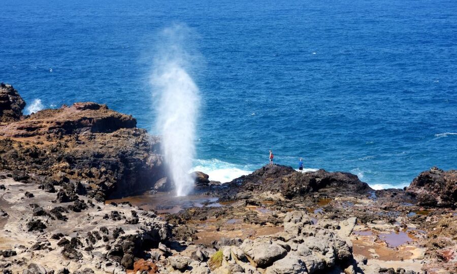 Oahu: Oahu Ultimate Grand Circle Island Tour - What this Oahu circle tour is really designed to do