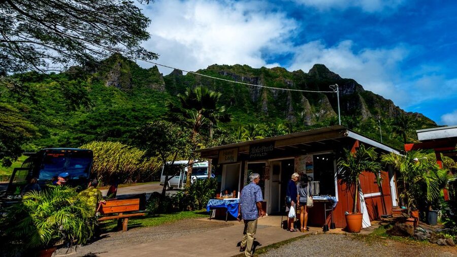 Oahu: Oahu Ultimate Grand Circle Island Tour - Turtle Beach gives the day breathing room