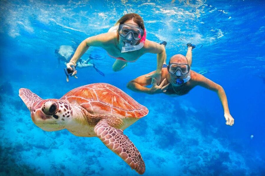 Oahu: Oahu Ultimate Grand Circle Island Tour - The bus, the timing, and the practical tradeoffs
