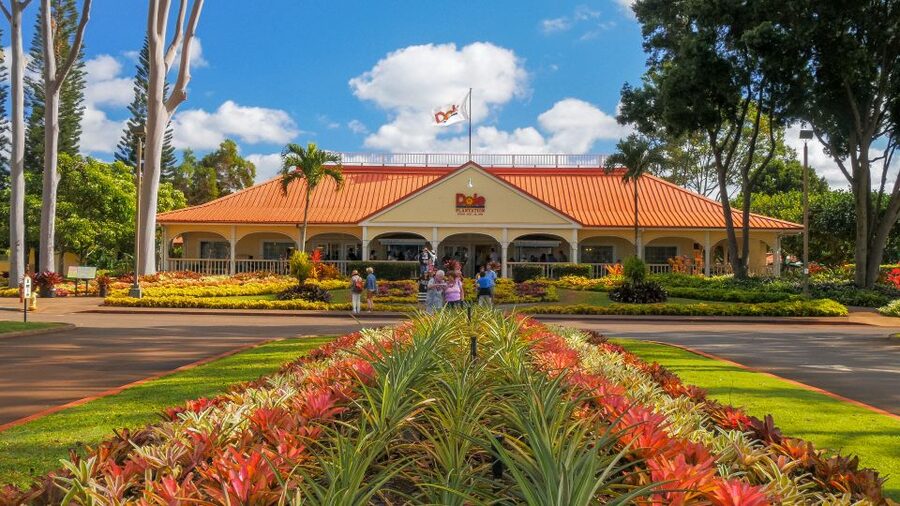 Oahu: Oahu Ultimate Grand Circle Island Tour - Starting at Diamond Head and heading east