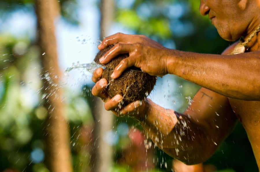 Oahu: Polynesian Cultural Center Island Villages Ticket - Fiji: music, dance, coconut oil, and a chief’s home