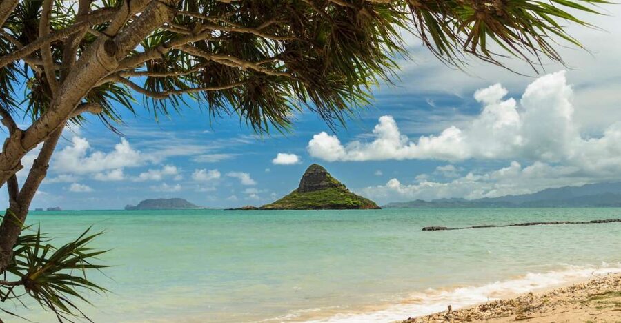 Oahu: Private Custom Island Tour - Why a private Oahu loop works well