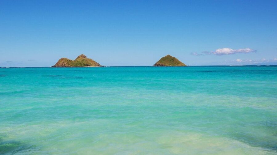 Oahu: Private Custom Island Tour - Dole Plantation, Pearl Harbor, and the ride home