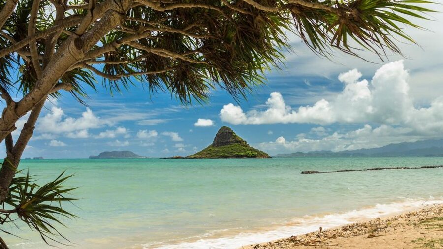 Oahu: Private Custom Island Tour - What the vehicle and guide add