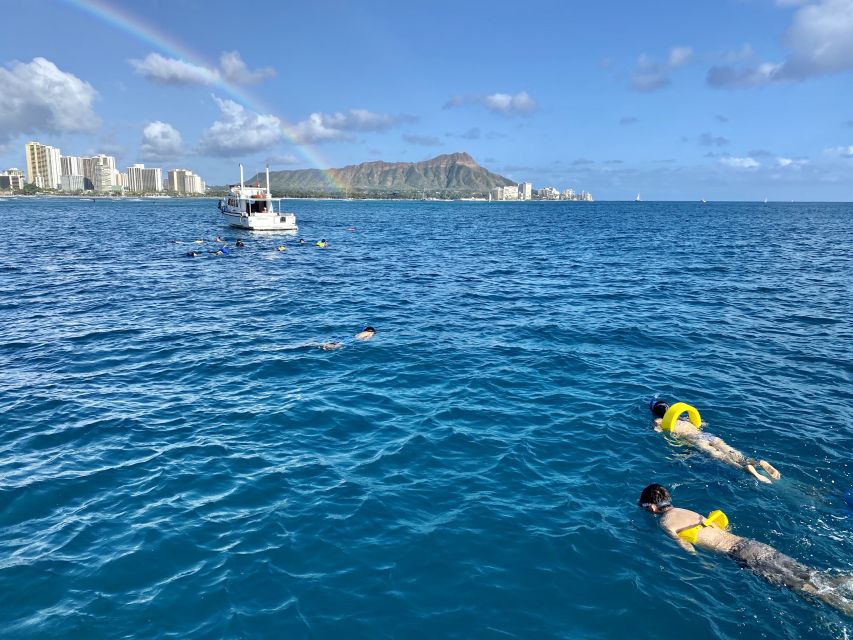 Oahu: Private Turtle Snorkeling with Customizable Itinerary - Wildlife watching along the Waikiki coast