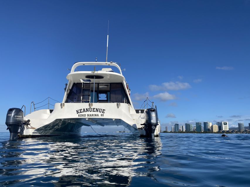 Oahu: Private Turtle Snorkeling with Customizable Itinerary - Who will enjoy this Oahu charter most