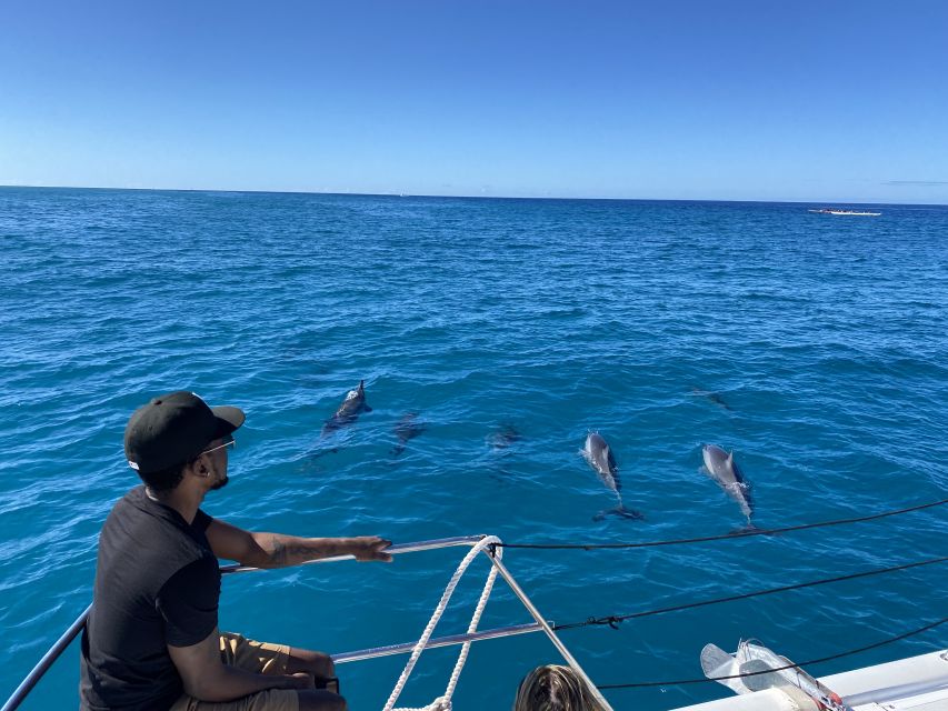 Oahu: Private Turtle Snorkeling with Customizable Itinerary - Should you book this private Oahu snorkeling trip?