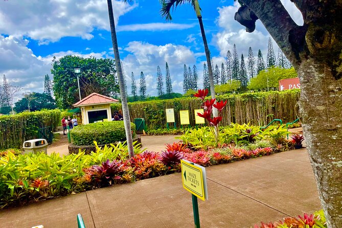 Oahu: Roundtrip Shuttle From Waikiki to Dole Plantation & Haleiwa - Key details before you book