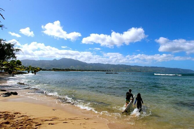 Oahu: Roundtrip Shuttle From Waikiki to Dole Plantation & Haleiwa - Green World Coffee Farms: a short optional stop