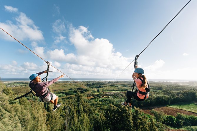Oahu's North Shore: 8-Line Zipline Adventure - Rappels, bridges, and boardwalks keep the course moving