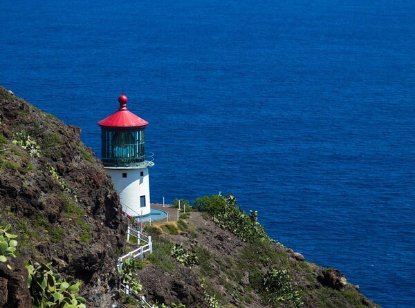 Oahu's Stunning Views: Half-Day Scenic Tour with 7 Lookouts - What makes this Oahu tour worth considering