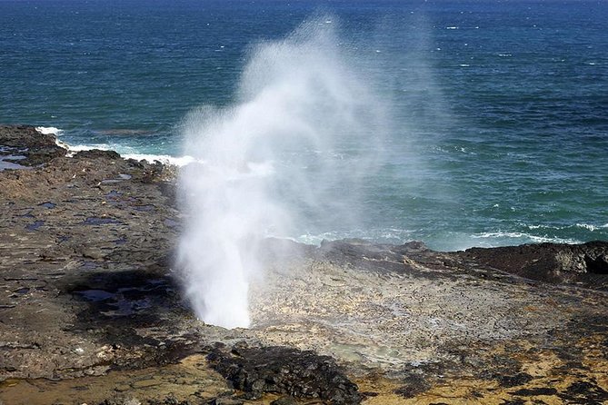 Oahu's Ultimate Tour: Dole, Turtle Snorkel, Pali Lookout & More - Nuuanu Pali, the day’s big viewpoint