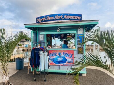 Shark Cage Dive on the North Shore