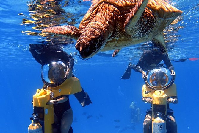 Oahu: Submarine Scooter Adventure - Key points to know before you book