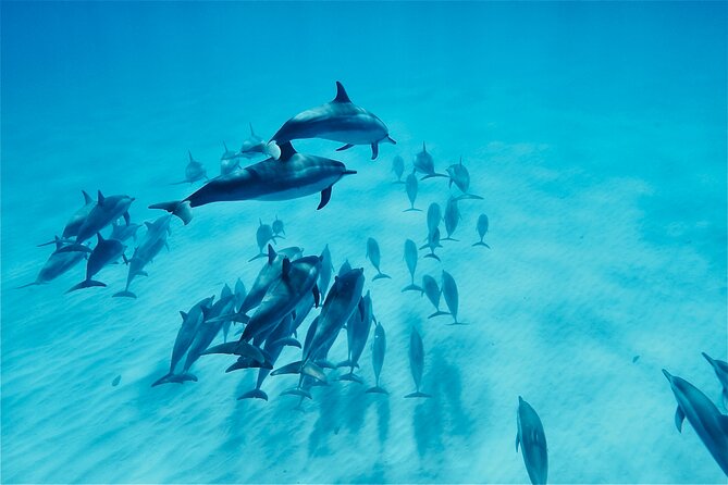 Oahu: Swim with Dolphins on the West Coast - Reaching the Waiʻanae Coast before breakfast