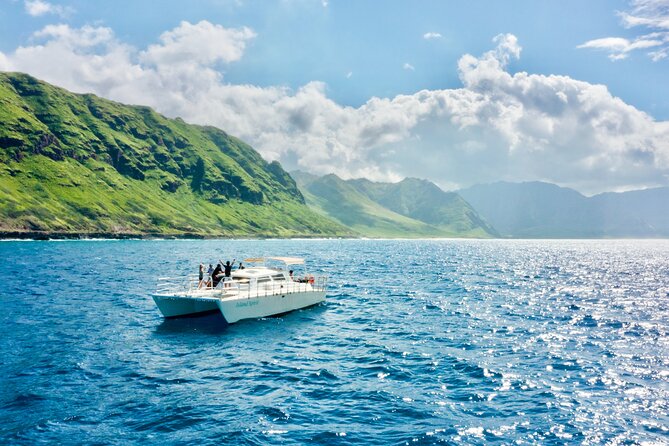 Oahu: Swim with Dolphins on the West Coast - How the dolphin swim really works