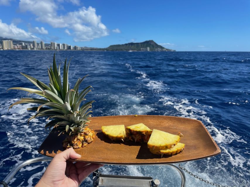 Oahu: Turtle Canyon Snorkeling Boat Tour - Respecting the Turtles at Turtle Canyon