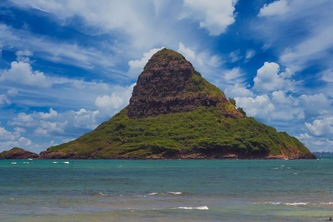 Oahu Ultimate Circle Island Tour Full Day Experience - One hour with turtles on the North Shore