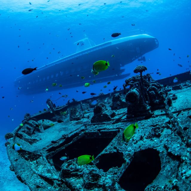 Oahu: Waikiki Submarine Tour - The return ride and total timing