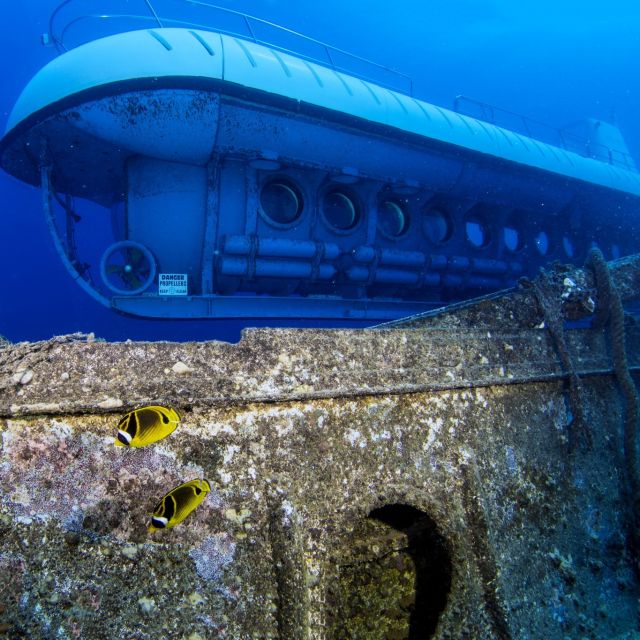Oahu: Waikiki Submarine Tour - Who will enjoy this most