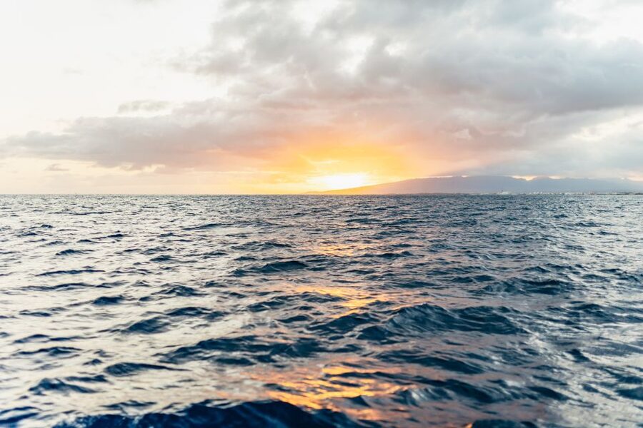 Oahu: Waikiki Sunset Catamaran Cocktail Cruise - Quick takeaways before you book